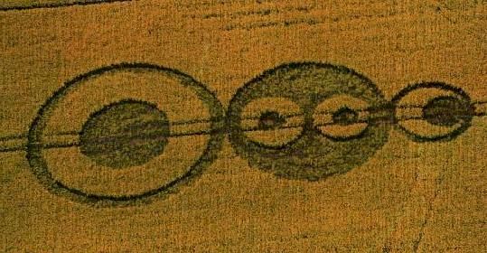 crop03a.jpg (48199 byte)