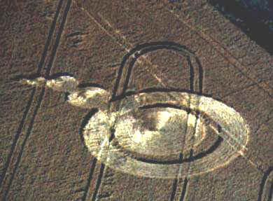 crop26a.jpg (20048 byte)