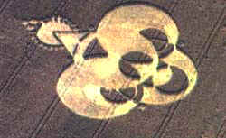 crop28a.jpg (10807 byte)