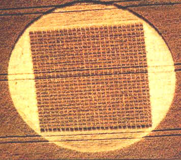 crop35a.jpg (39393 byte)