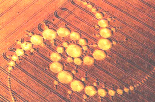 crop36a.jpg (47772 byte)