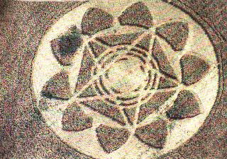 crop46.jpg (32194 byte)