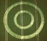 crop71.jpg (3369 byte)