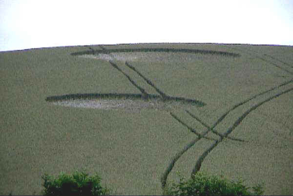 crop84.jpg (20268 byte)