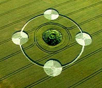 crop86.jpg (25008 byte)