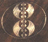 crop99.JPG (13907 byte)