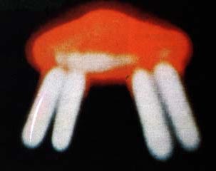 ovni18.jpg (14350 byte)
