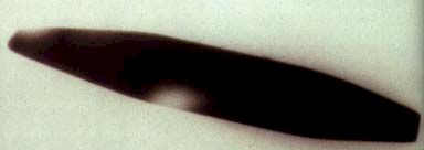 ovni49.jpg (6112 byte)